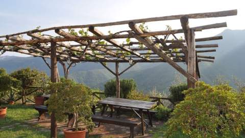 In the fall, we can enjoy our outdoor space even more than in summer.