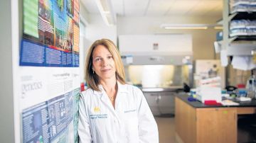 La doctora Cristina Fernández-Valle  entiende los desafíos que enfrentan los estudiantes hispanos que buscan desarrollarse en el campo científico.