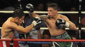 El boxeador puertorriqueño Orlando 'Fenómeno' Cruz (d), venció el mexicano Jorge 'Feroz' Pazos, por el título pluma Latino de la OMB  en Florida.