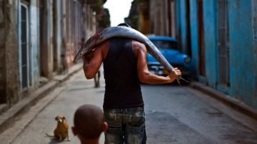 Un día antes de las  elecciones municipales en Cuba un hombre recorre las calles de la vieja Habana con un pescado fresco.