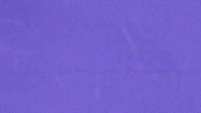 Kobe Bryant, escolta de los Lakers será baja durante toda la pretemporada, por una lesión en el pie derecho