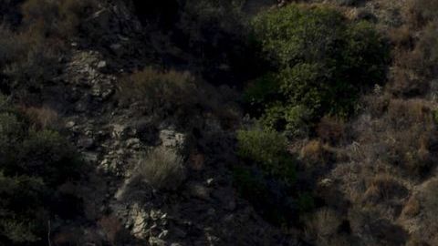 Imagen de archivo que muestra a un grupo de bomberos tratando de apagar un incendio en el bosque nacional de Angeles al norte de Azusa, California.
