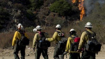 Imagen de archivo que muestra a un grupo de bomberos tratando de apagar un incendio en el bosque nacional de Angeles al norte de Azusa, California.