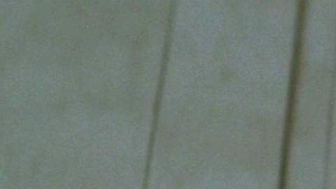 Anthony Hopkins interpretó a Richard Nixon en Nixon (1995).