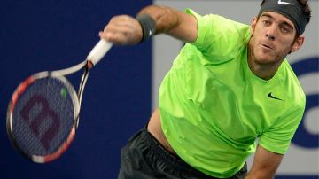 Juan del Potro tratará de romper el dominio del suizo Roger Federer en Basilea.
