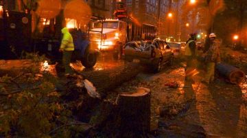 Auto destruido por un árbol caído en la calle Bradhurst entre las calles 149 y 150, Manhattan.