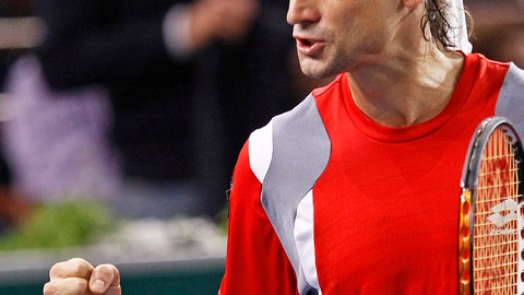 El español David Ferrer celebra su victororia sobre el francés Jo Wilfried Tsonga, ayer en cuartos de final del Masters de París.
