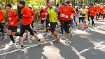 Varios corredores que iban a participar en la cancelada Maratón de Nueva York se hicieron presentes en el Central Park.