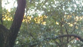 La nutricionista Martha Beato, hija del exsíndico de Santo Domingo Pedro Julio Evangelista, confesó que esta era la primera vez que había votado porque antes nunca le había interesado.