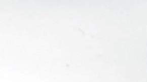 Para cada gusto puedes ofrecer un lunch nutritivo a tus hijos.