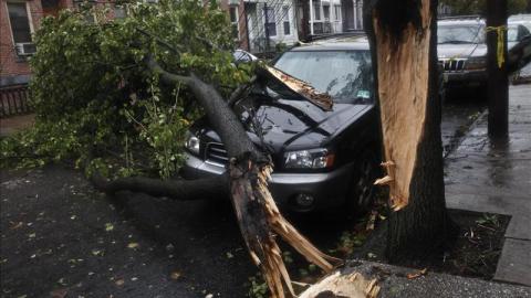 Un árbol, derribado por Sandy, cae sobre un automóvil en una calle de Hoboken, estado de Nueva Jersey (EEUU).