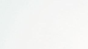 La zanahoria es nutritiva y barata.