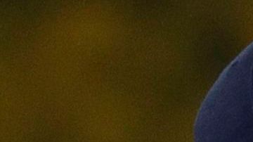 El ascenso al estrellato en las Mayores de Miguel Cabrera ha sido realmente emocionante.