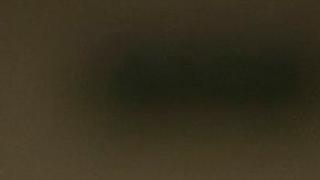 Tito Vilanova afirma que Messi no juega para los récords, sino para que gane el Barsa.