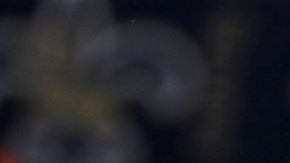 Kaepernick saldrá como titular contra San Luis, en sustitución del lesionado Smith.