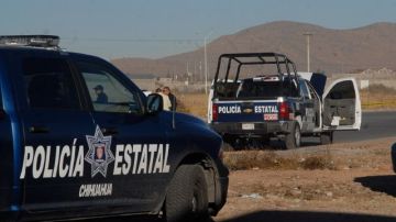 Autoridades investigan el lugar de un enfrentamiento armado en Chihuahua.