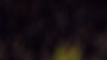 Lionel Messi aumentó a 90 su récord de goles en el año