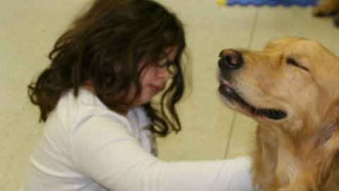Perros y menores hicieron "amistad" de inmediato.