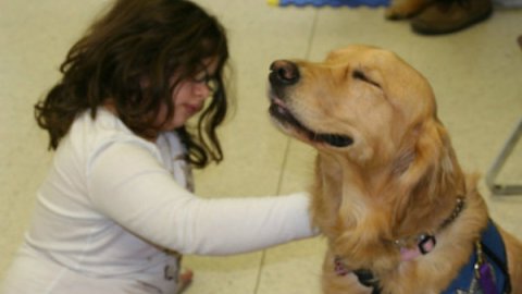 Perros y menores hicieron "amistad" de inmediato.