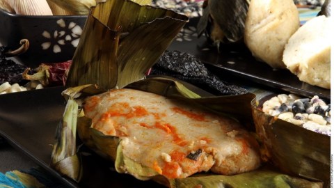 El maíz era la base de la comida maya. Era usado para hacer tortillas, tamales, y atole.