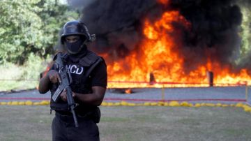Miembros de la Dirección Nacional de Control de Drogas durante la quema de varios tipos de droga en Dominicana.