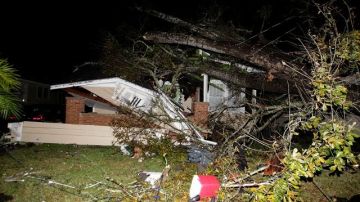 Varios árboles fueron derribados por los vientos en Alabama.