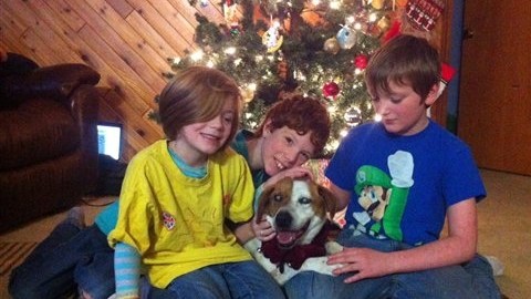 Los hijos de la familia Grapengeter con Abby.