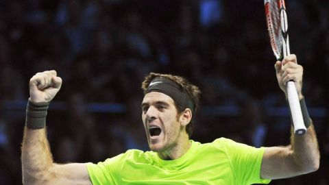 Juan Martín del Potro no jugará con Argentina la Copa Davis del 2013