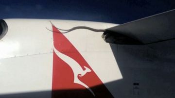 Serpiente pitón viaja en ala de avión de Australia a Papúa, Nueva Guinea.