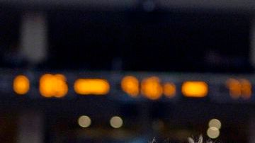 Los Magic de Orlando derrotaron a Clippers de Los Angeles y frenaron racha negativa