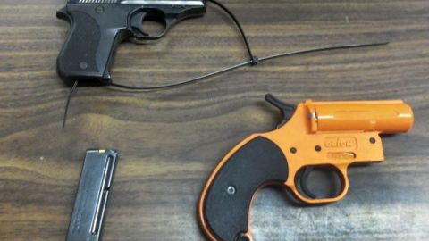 Estas son las armas llevadas por el menor a la escuela elemental en Queens.