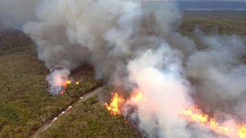 El fuego arrasa el parque nacional de Ku-Ring-Gai, Australia.