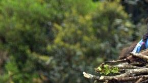 El Plan Contra el Hambre comenzará en Las Margaritas, un municipio del estado de Chiapas, y se propone atender a comunidades que viven en condiciones de pobreza en México.