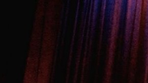 Los Cojolites en el primer Festival de Son Jarocho en San Francisco.