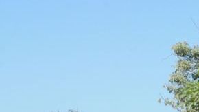 Autoridades mexicanas aseguran avances importantes en el caso de la violación a seis ciudadanas españolas en Acapulco.