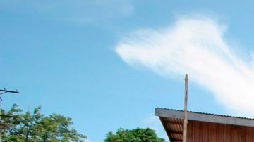 Reportan terremoto de 8 grados en la escala de Richter, en las Islas Salomón.