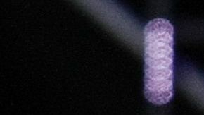 Rosana ofrecerá un concierto el próximo 23 de febrero como parte de su gira por EEUU.