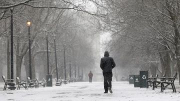 En el parque Washington, en Albany, los ciudadanos realizaron hoy sin dificultades las caminatas diarias.