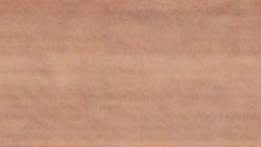 El gobernador del estado de Guerrero, Ángel Aguirre (en la foto) afirmó que hay pistas muy cercanas de los violadores de las turistas españolas.