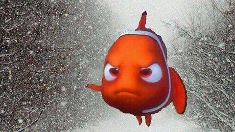 Uno de los fotomontajes bajo #Nemo en Twitter.