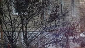 Horas después, el lunes por la tarde, la mujer fue a casa de unos amigos y les contó lo sucedido.