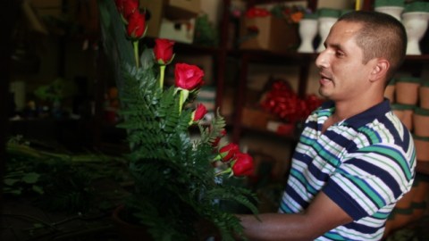 Un hombre trabajaba ayer en la elaboración de ramos florales, en una floristería, previa a la celebración del Día de San Valentín. Las florerías, las tiendas de regalos y los restaurantes, son los giros de mayor demanda durante el Día del Amor y la Amistad, de acuerdo con un estudio de la Cámara de Comercio, Servicios y Turismo en Pequeño de la Ciudad de México (Canacope). Otros de los negocios que más buscan las parejas hoy 1 son los cines, cafeterías, teatros, hoteles y moteles, así como perfumerías, tiendas de ropa y de telefonía celular, papelerías, vinaterías, sex-shops y tiendas de calzado.