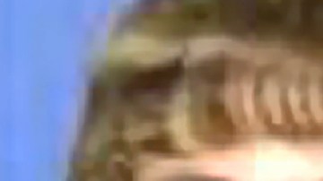 Adam Lanza, autor de la masacre en Newtown.