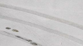 EEUU: Tormenta de nieve cubre planicies del centro desde Colorado hasta Illinois.