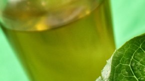 Pescados, lácteos, verduras y frutas hacen de la temporada de Cuaresma una época rica en nutrientes.