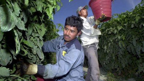 Negocios y sindicatos detallan consenso sobre reforma migratoria.