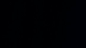 El vicepresidente Joe Biden afirmó hoy que la inacción en torno al control de armas, podría cobrar una factura moral a EE.UU.