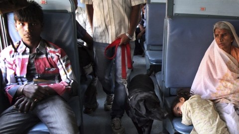 Policías indios revisan un tren con un perro rastreador en la estación de Bombai (India) ayer.