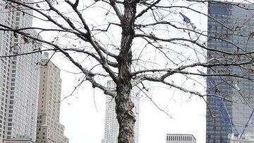 Conmemoran 20 aniversario de atentado en el desaparecido World Trade Center de Nueva York.