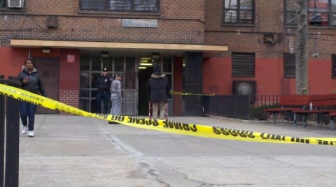 El frente del conjunto residencial St. Mary's Park Houses, donde residía   y donde  supuestamente fue asesinada Tanya Bird,  fue acordonado ayer por la Policía.